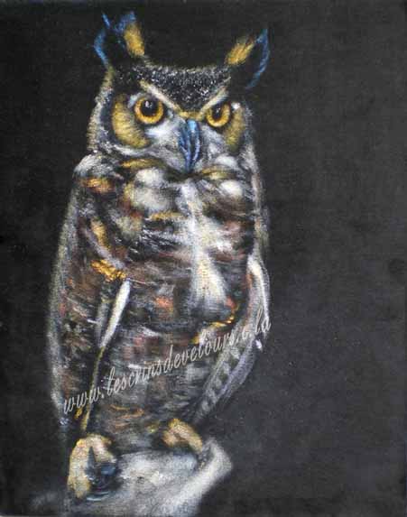 24 x 30 cm, Collection priv�e
cliquer sur l'image pour revenir � la page pr�c�dente